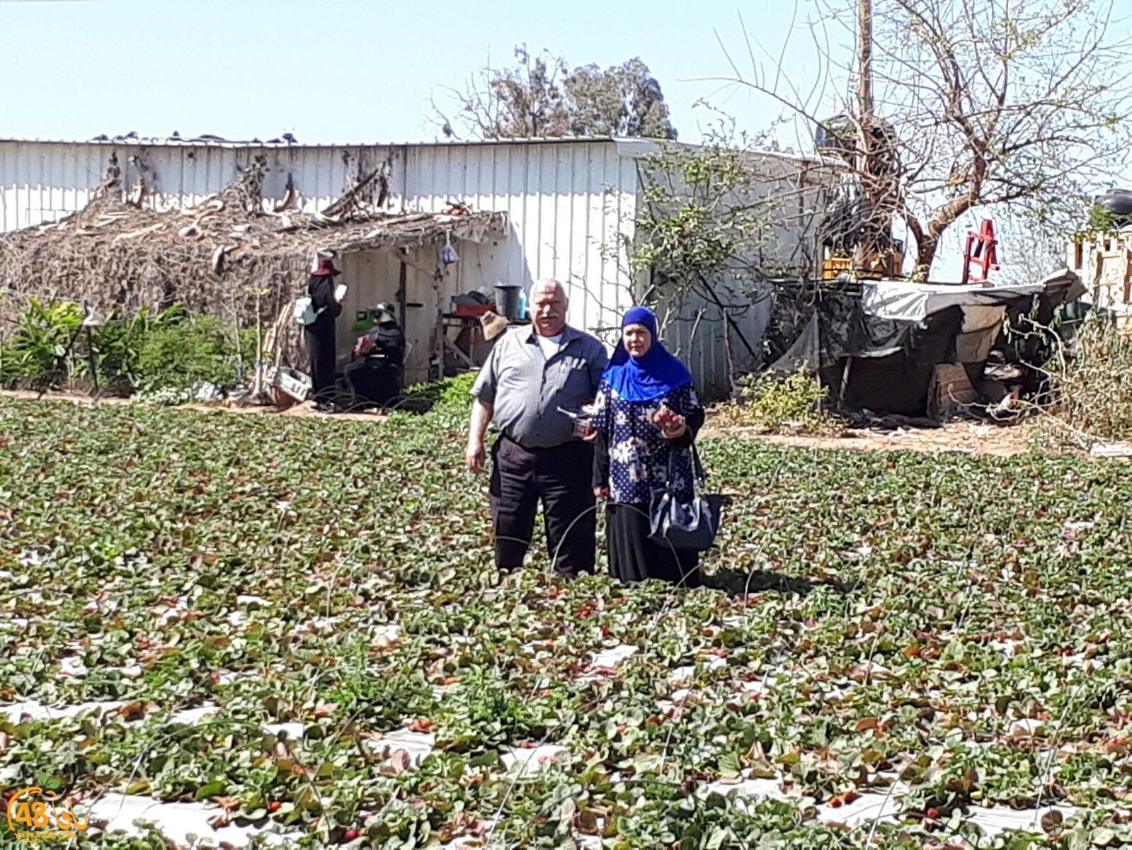 ab7bableaqsaa3 (34).jpg